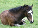 2004-06-05